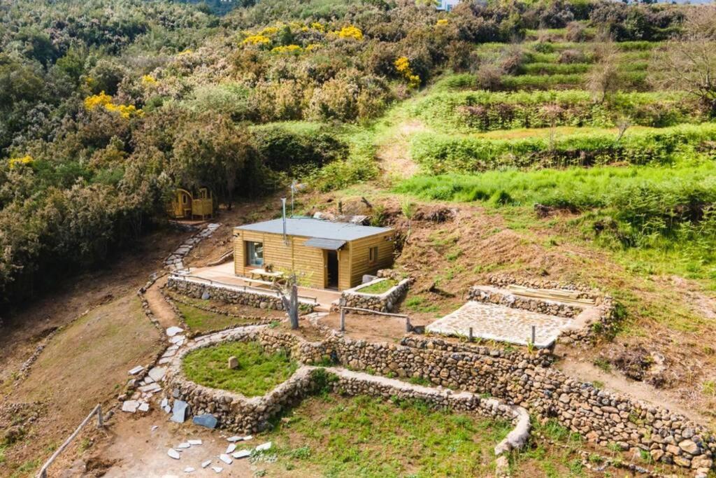 El Pino Centenario 3 La Orotava Zewnętrze zdjęcie